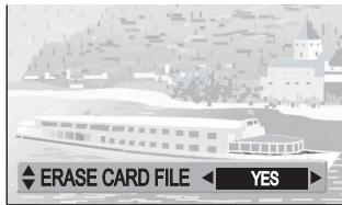 PANASONIC SVAV30U - Erasing the Files Recorded on a Memory Card - 4