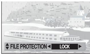 PANASONIC SVAV30U - To Lock All Files - 4
