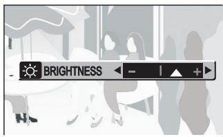 PANASONIC SVAV30U - Adjusting Brightness and Color Level on the LCD Monitor - 12
