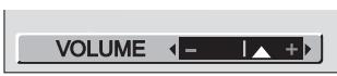 PANASONIC SVAV30U - Press [-] or [+] of the [VOL] Button. - 5