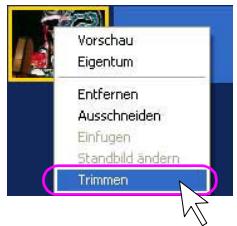 PANASONIC VWDTD10E - Anmerkungen: - 2
