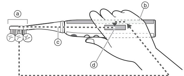 PANASONIC EW-DE92 - Vor dem Zähneputzen - 1