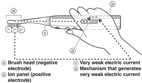 PANASONIC EW-DE92 - Before cleaning your teeth - 1