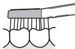 PANASONIC EW-DE92 - ▶ Pour la surface de mastication (molaires) - 1