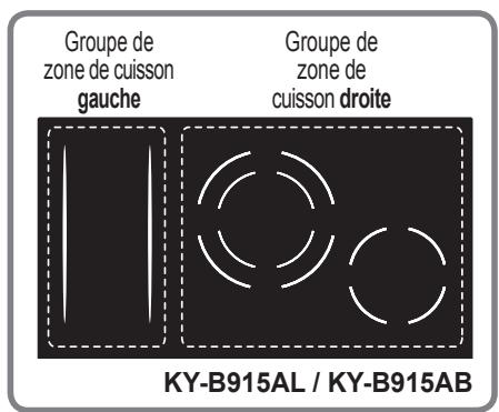 PANASONIC KYB915ABEPG - Groupes de zone de cuisson - 2