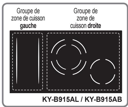 PANASONIC KYB925GLEPG - Groupes de zone de cuisson - 2