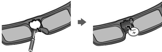 PANASONIC TYER3D6ME - Changement de la pile - 2