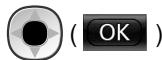 PANASONIC VL-SWD501EX - Sblocco dei blocchi elettrici - 3
