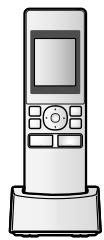 PANASONIC VL-SWD501EX - Avec répétiteurs : - 4