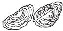PANASONIC MK-F800 - FOOD PROCESSOR -SLICING BLADES • SHREDDING BLADES • JULIENNE BLADE- - 11