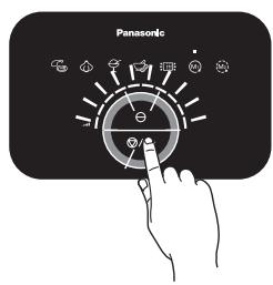 Panasonic