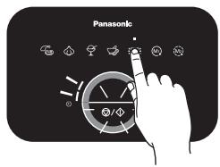 Panasonic