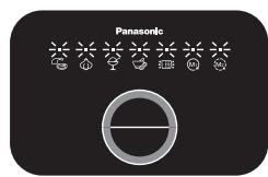 Panasonic
