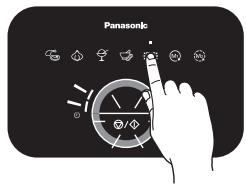 Panasonic