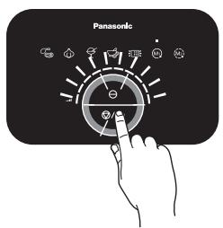 Panasonic