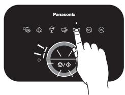 Panasonic