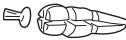 PANASONIC MK-F800 - KEUKENMACHINE - MESBLAD - - 8