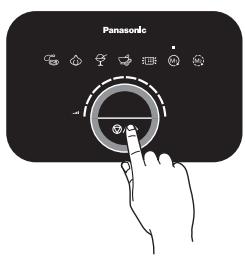Panasonic