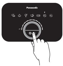 Panasonic