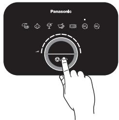 Panasonic