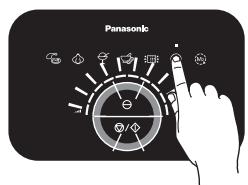 Panasonic