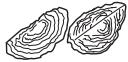 PANASONIC MK-F800 - FOOD PROCESSOR -SLICING BLADES • SHREDDING BLADES • JULIENNE BLADE- - 19