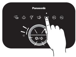 Panasonic