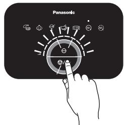Panasonic