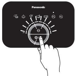 Panasonic