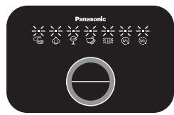 Panasonic