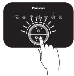 Panasonic