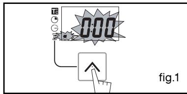 THOMSON BOT61MXD - - USING THE TIMER FUNCTION - 1