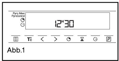 Pyrro Mass PyrroControl 12^H30 Abb.1