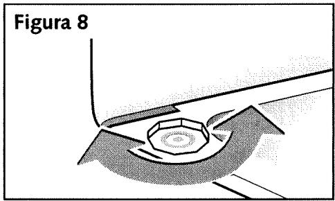 Figura 8