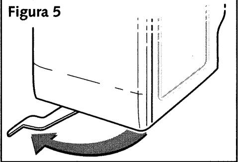 Figura 5