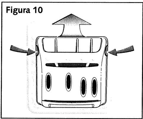 Figura 10