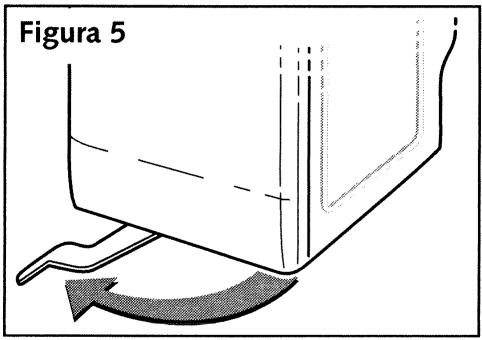 Figura 5