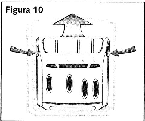 Figura 10