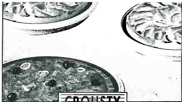 MOULINEX 1100 CROUSTY GRILL - Réchauffer la pizza: - 3