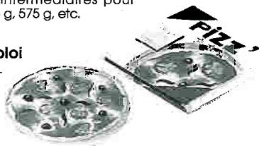 MOULINEX 1100 CROUSTY GRILL - Mode d'emploi - 1