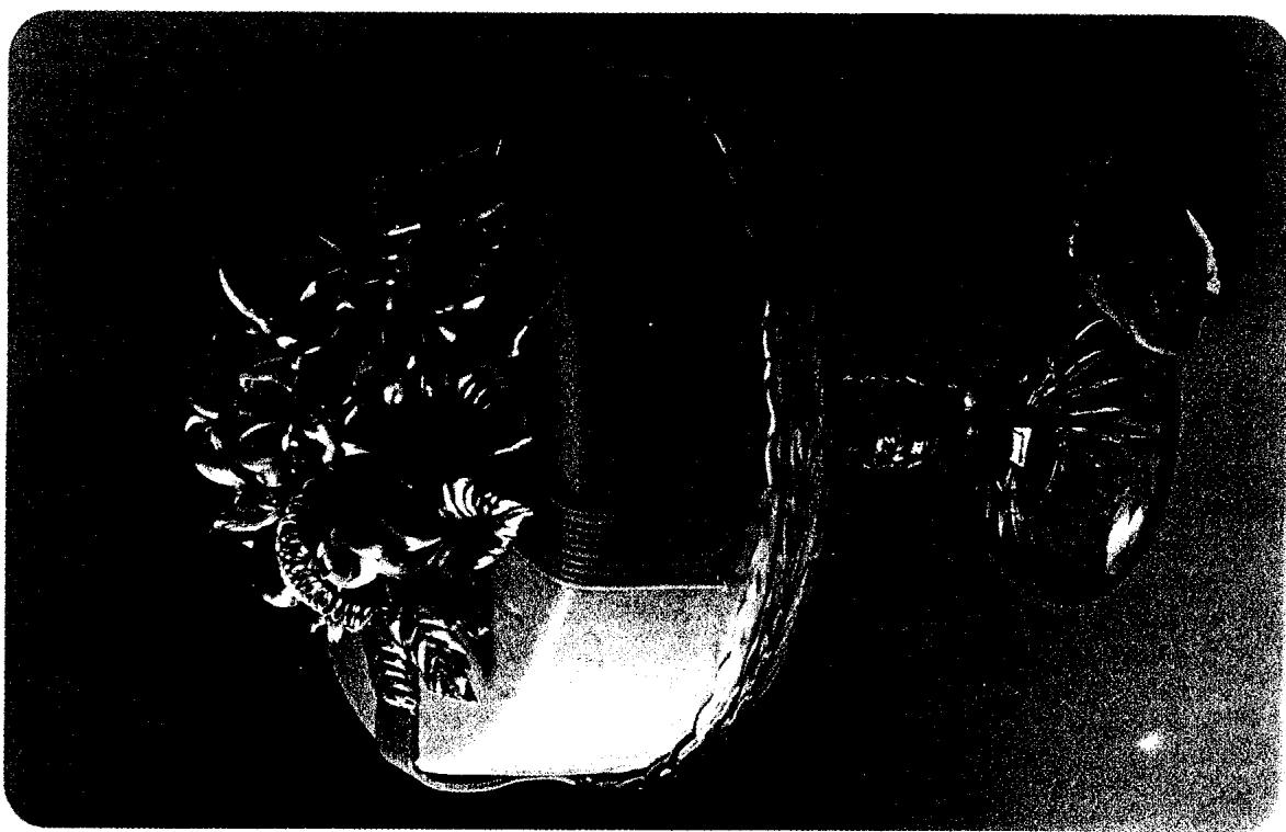 SEB SORBETIERE 320 - GLACES AUX FRUITS - 1