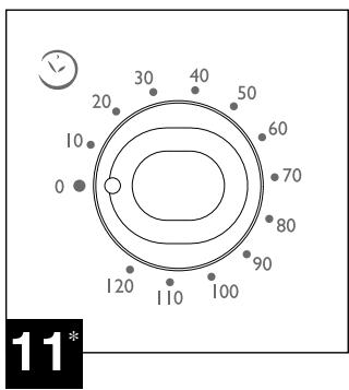 SEB TWENTY L - Précautions - 15