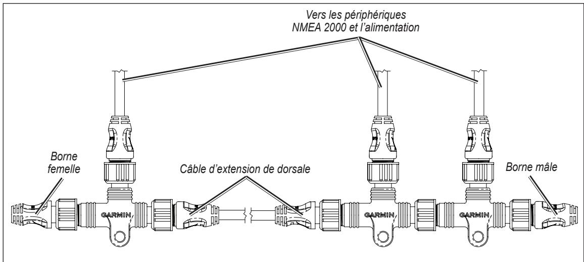 GARMIN GPSMAP 5215 - Installation de la dorsale linéaire - 1