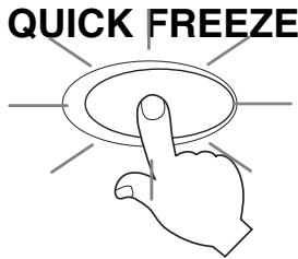 LG GC-398SQA - Quick Freeze - 1