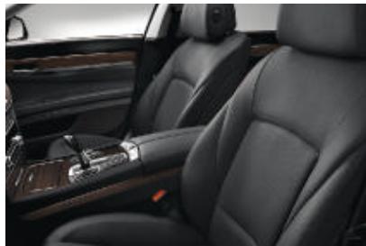 BMW 740D - □ Services Télématiques BMW ConnectedDrive - 10
