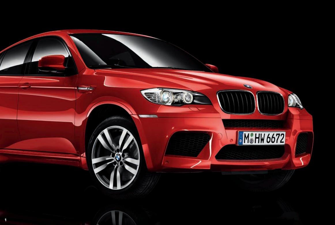 BMW X5 M ET X6 M - Inserts décorats. - 7