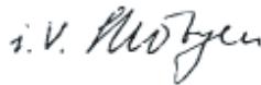 BOSCH PST 900 PEL - Montage - 2