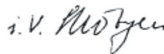 BOSCH PFS 105 E - Salikšana - 2