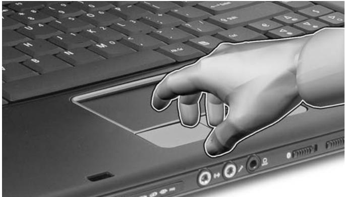 ACER FERRARI 5000 - Touchpad - 1