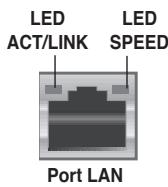 ASUS P5B - Indicateurs LED du port LAN - 1